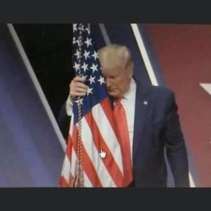 Meet your Posher, Marnie